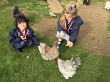 Teaching Life Skills For Kids: an Independent School Guide