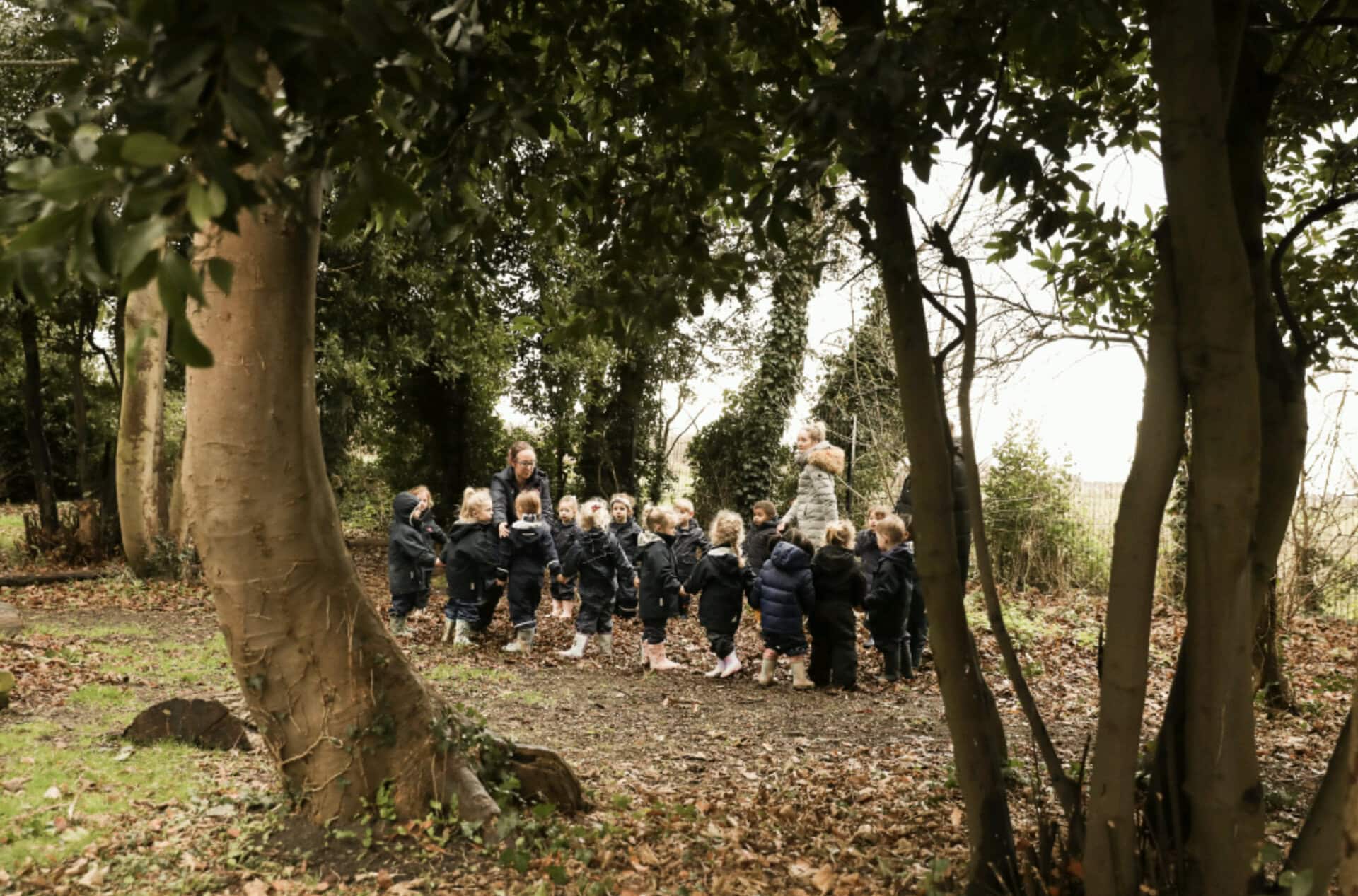 Featured image for Forest school activities: what a typical woodland session actually looks like